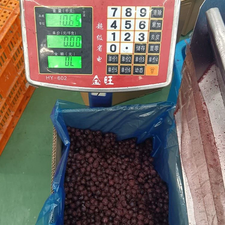 small frozen blueberries