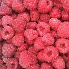 Sveže zamrznjene maline