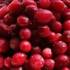 Zamrznjene nesladkane brusnice