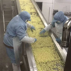 Zamrzovanje kuhanega krompirja