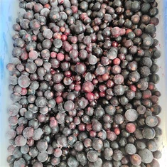 Zamrznjene borovnice stroški