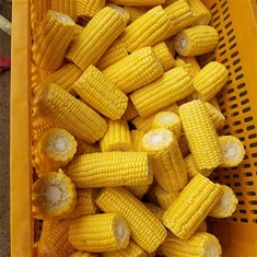 Zamrznjena sladka koruza