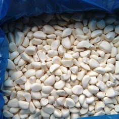 Zamrznjena zelenjava s česnom